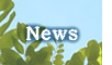 パンダ好きさんへNEWS